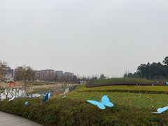 -天府芙蓉园