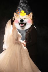 -韩国艺匠ARTIZ STUDIO(天津店)