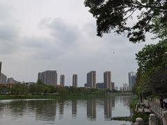 -冬宝海鲜食府(桂城店)