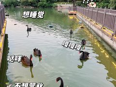-无锡动物园·太湖欢乐园