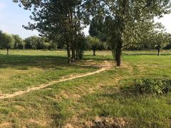 -汉长安城未央宫国家考古遗址公园