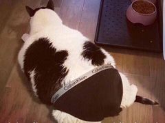 -佬钱湾仔(衣裳街店)