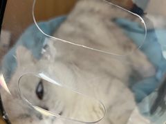 -美联众合动物医院·24h京西诊疗中心