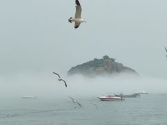 -棒棰岛宾馆景区