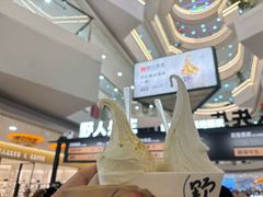 -野人先生Gelato(上海长宁龙之梦店)