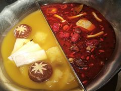 台式麻辣花胶鸡鸳鸯锅-湊湊火锅·茶憩(世博大道店)