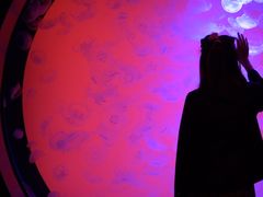 -沈阳海洋探索中心