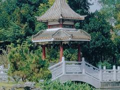 -顺峰山公园