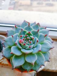 -Oasis Beauty水磨坊科技美肤中心