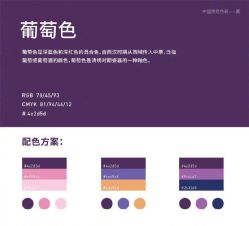-美薇亭婚礼顾问