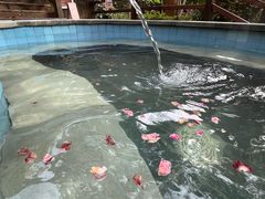 -宁海森林温泉