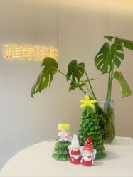 -雅荷悦来双美