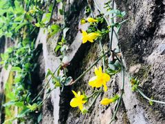 -葛记焖饼(伏牛路店)