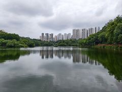 -重庆彩云湖湿地公园