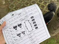 -博特宠物医院24h犬猫全科.骨科·异宠