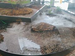 -雅苑中餐厅