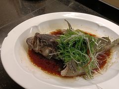 -粤珍轩.创始店.始于2001(含光门店)