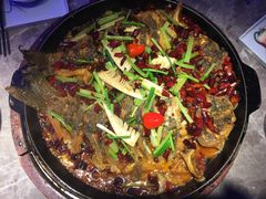 -老板恋上鱼(恒隆广场店)