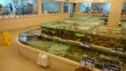 点击看大图 android_upload_pic-金紫银平价海鲜城·宴会厅(梨园店)