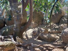 -威勒比开放式动物园