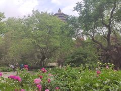 -玲珑塔公园