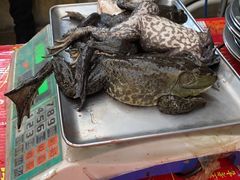 -毛草房(南辛庄街店)