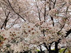 -闵行体育馆-停车场