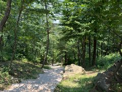 -沂蒙山旅游区云蒙景区(蒙山国家森林公园)
