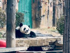 -大连森林动物园