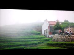 android_upload_pic-奥斯卡新都汇影城(终级银幕)