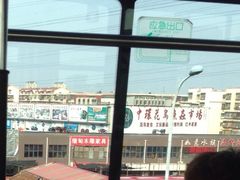 -中环花鸟鱼虫市场