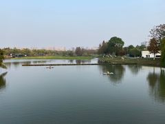 -洋湖国家湿地公园