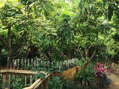 -呀路古热带植物园