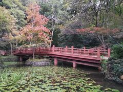 景点-紫霞湖公园