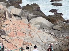 -广东惠东海龟国家级自然保护区