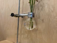 -常识咖啡common sense(春熙路店)
