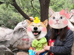 -碓臼峪自然风景区