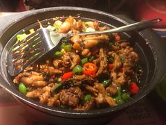 青椒紫苏味-蛙小侠·沸腾砂锅(南山欢乐颂店)
