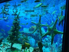 -海合安成都极地海洋公园