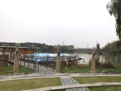 -昆山城市生态森林公园