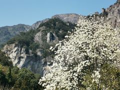-雁荡山风景名胜区
