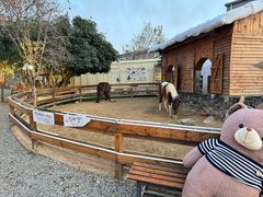 -HERRE·FARM 赫尔露营农场·团建聚会包场