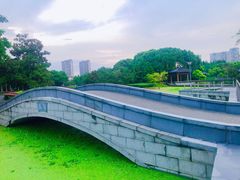 -蠡湖大桥公园