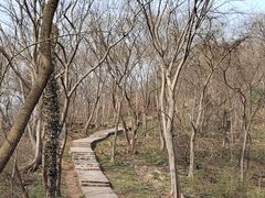 -南山风景名胜区