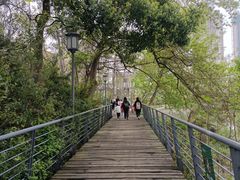 -月湖风景区
