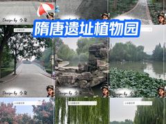 -洛阳市隋唐城遗址植物园
