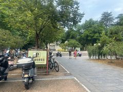 -紫霞湖公园