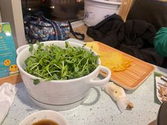 豆苗-烹然四季椰子鸡火锅(团结湖总店)
