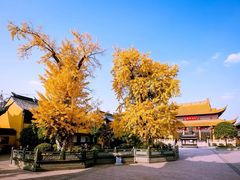 -圆通寺