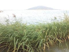 iphone_upload_pic-三山岛